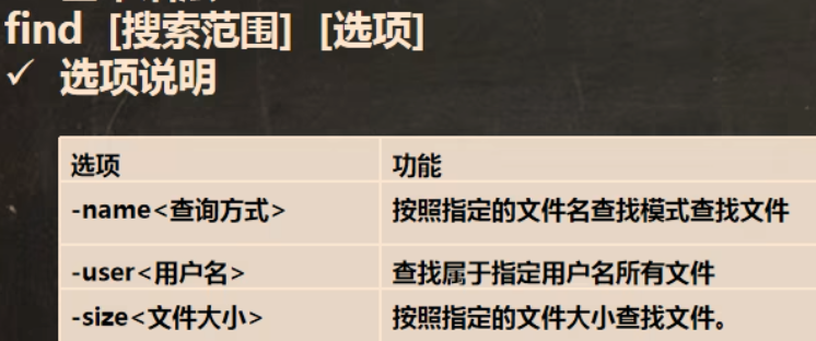 find 指令