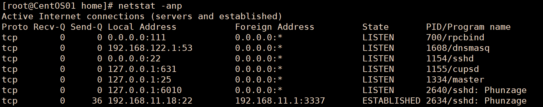 netstat 示例